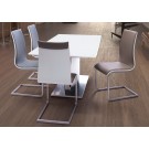 Trembles Dining Chair by Zuo mod