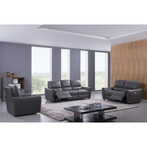 S557 Sofa Set in Gray Leather