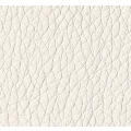 White Leather